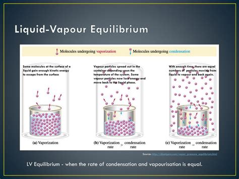 vapor liquid equilibria